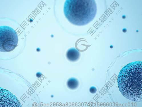 肝功能檢查五項病毒性感染